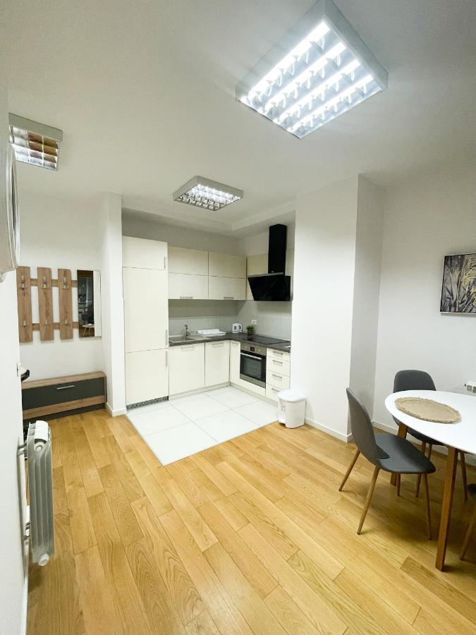 Hedonist-modern Urban A Blok Apartment Belgrade